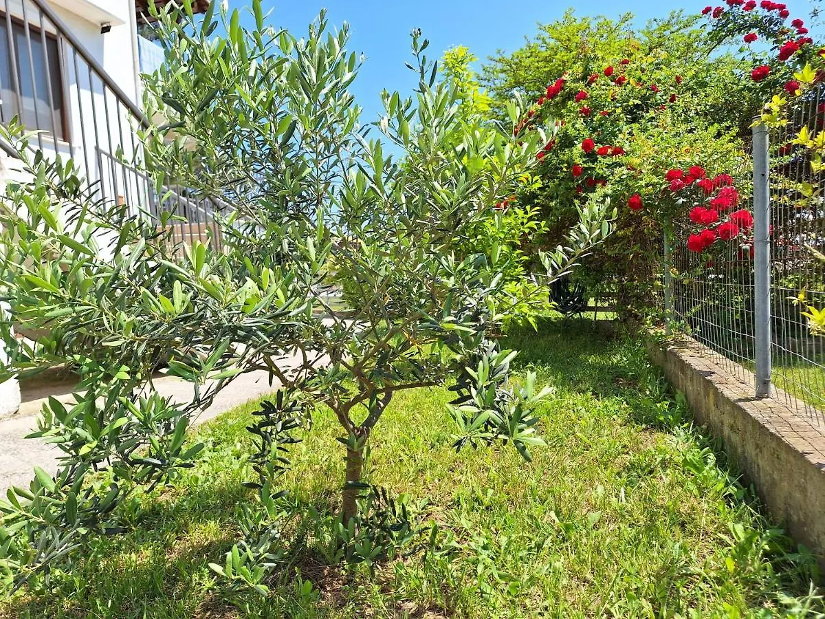 Armenos Elegance Apartments Ierissos Yunanistan